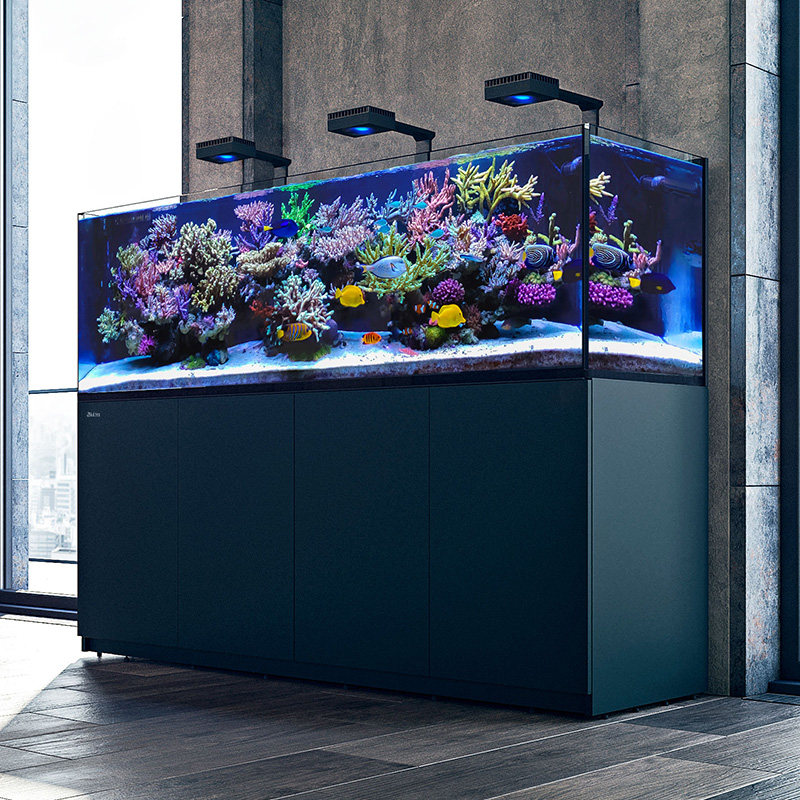 红海鱼缸redseareefer豪华xl425海水水缸桌面缸