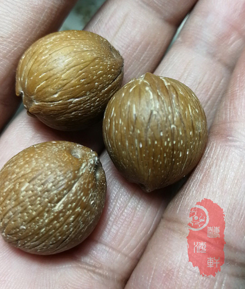 紫金鼠原料招财鼠原籽雕刻原料佛珠菩提子车床可用手串佛珠