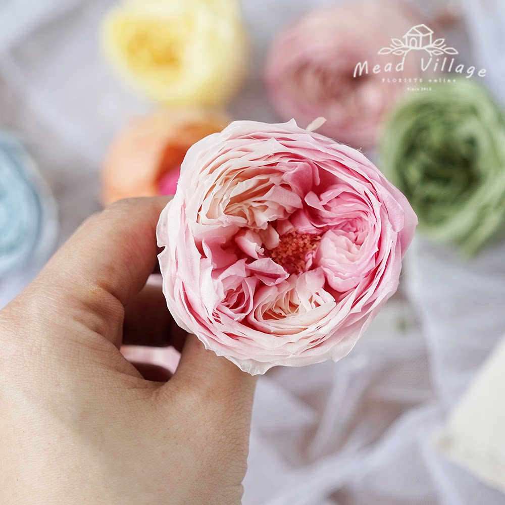 玫瑰进口永生永生花花头手工diy配材渐变变色永生花