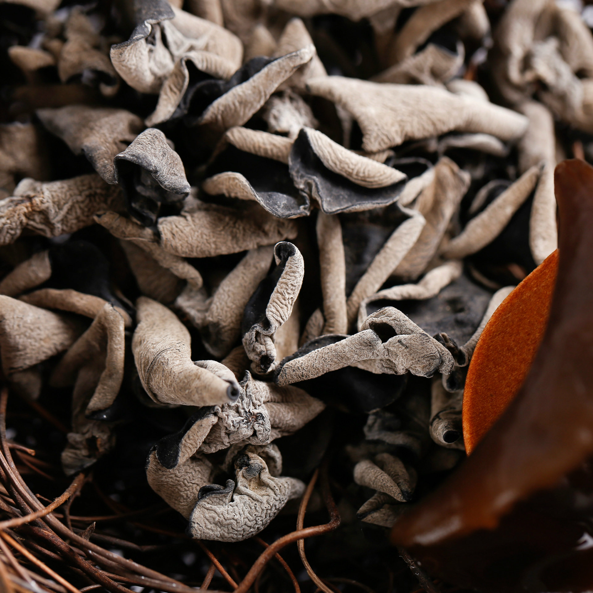 长白山秋木耳 精选小碗耳椴木 干货黑木耳 250g 东北特产 包邮