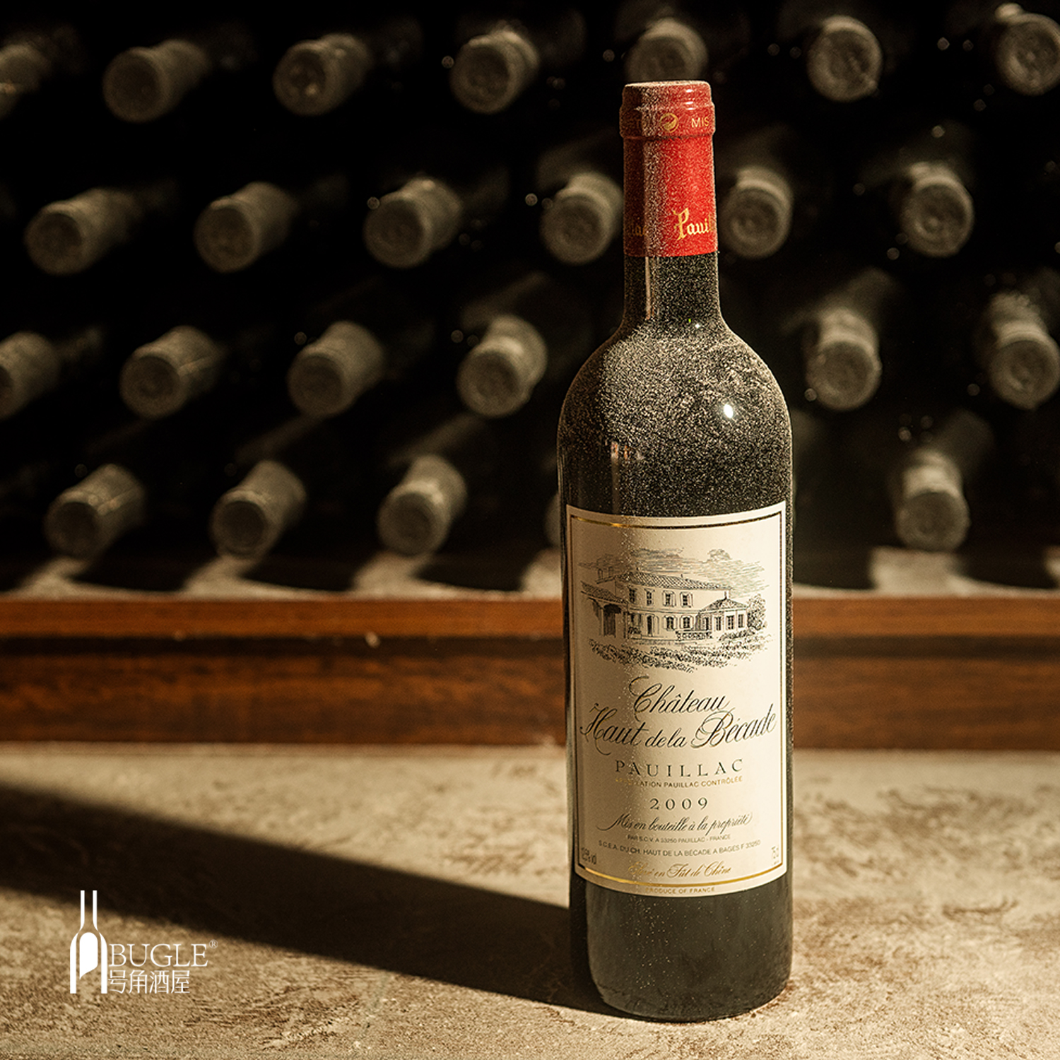 十年陈藏老年份2008法国进口波尔多亚克村庄aoc干红静态葡萄酒