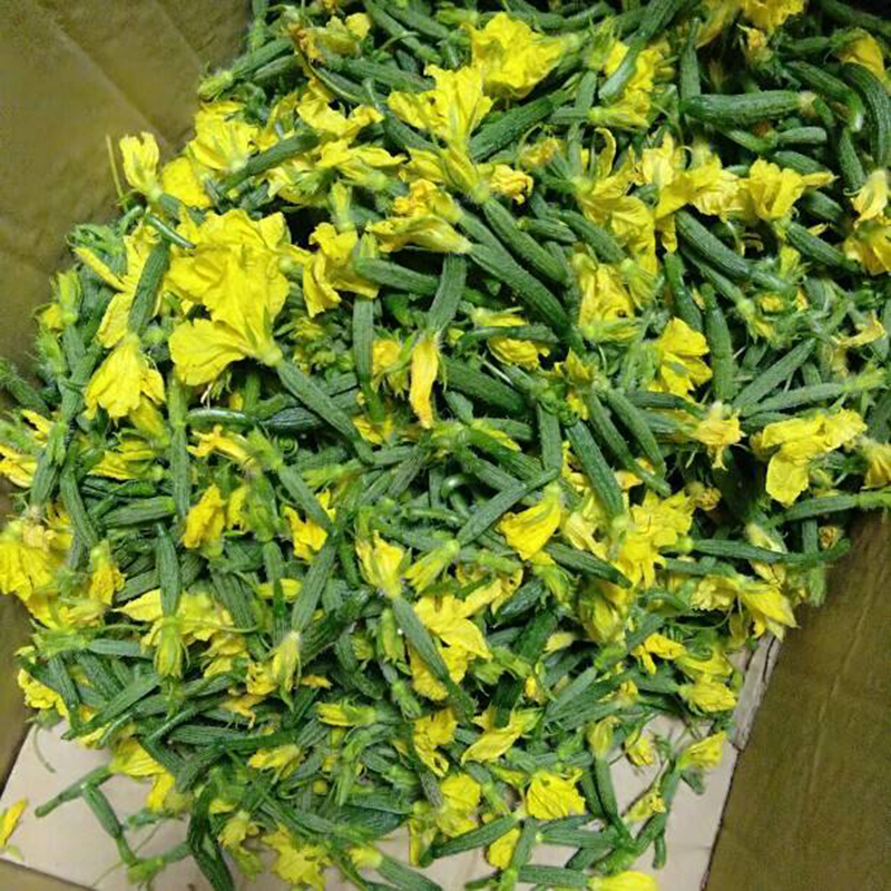 新鲜水果小黄瓜花青瓜花特菜小嫩黄瓜顶花当季黄瓜