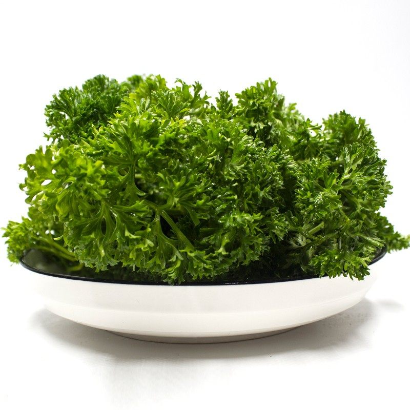 法香法国香菜洋芫番西芹菜番荽摆盘250g其它