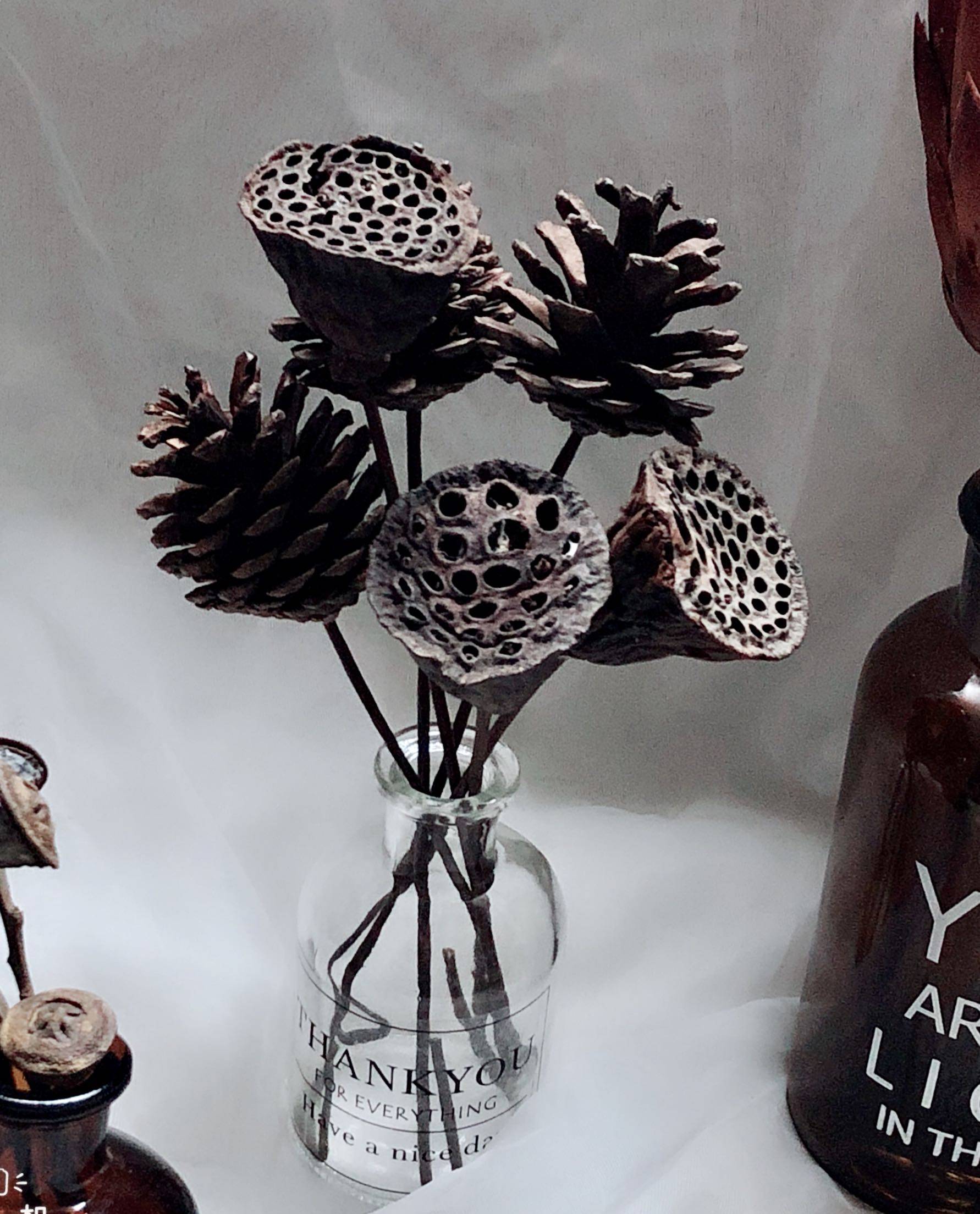 进口口干花木莲花帝王花莲莲蓬高粱玻璃瓶组合干花