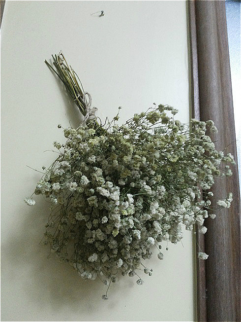 干花花束2019新品云南浪漫满天星家居摆设客厅干花