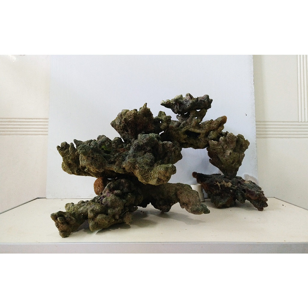海水珊瑚死石 造景 海缸死石造景 矮缸造景 适合50以上 sps lps