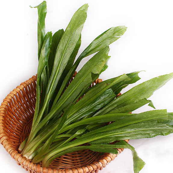 原生态野菜 香料 泰国香菜 大香菜野香菜 香味浓郁香料 500g