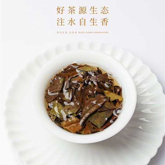 长龙茶叶福鼎白茶福臻高山寿眉老白500克包邮贡眉