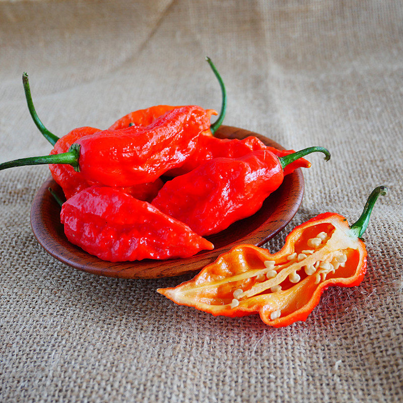 新鲜魔鬼辣椒500g云南德宏现摘涮涮印度断魂辣椒