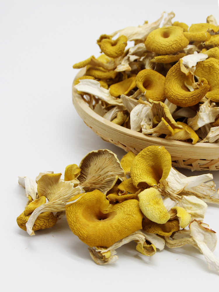 鸡油干货云南特产食用菌煲汤汤料榆黄菇干新货香菇类