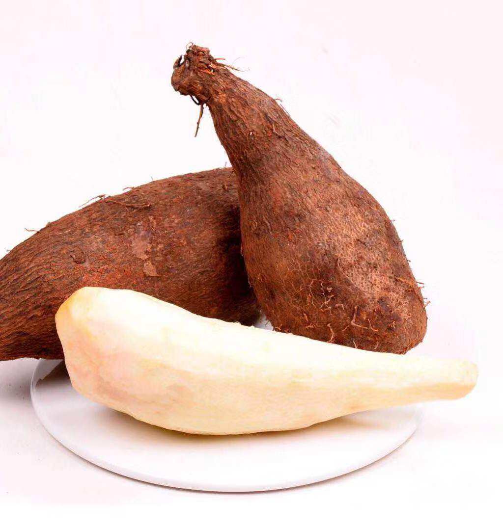 山药馋猪家云南文山灵芝铁棍新鲜糯米包邮产地新鲜山药