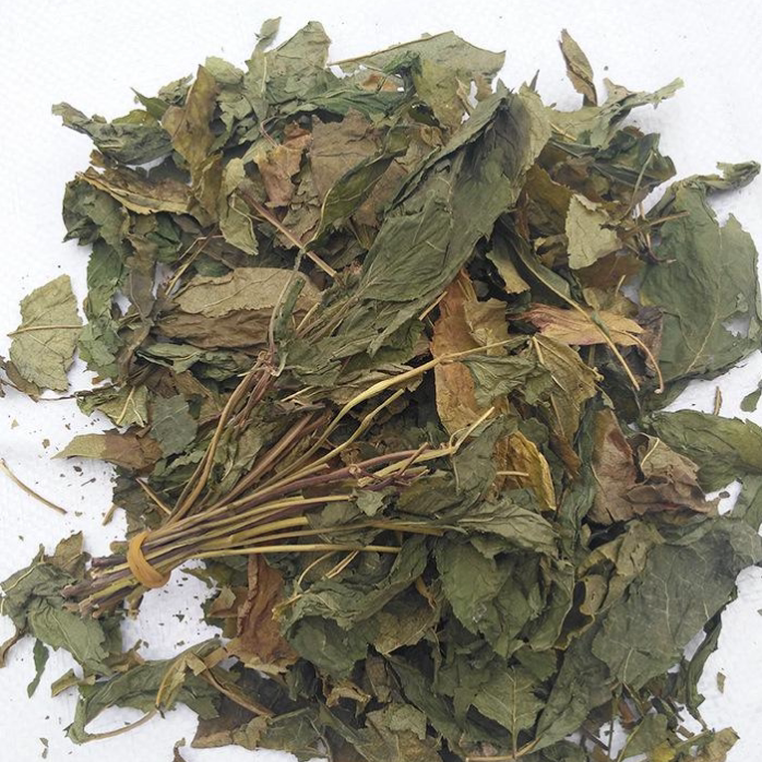 人参叶吉林人参叶花500g克25元包邮中药材初级农产品