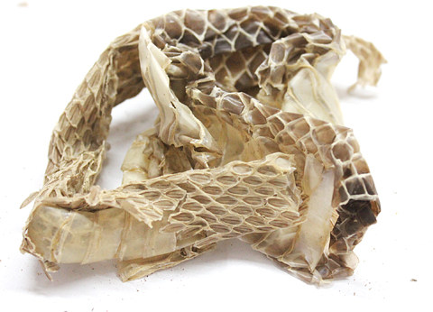 蛇蜕 整条蛇壳 长虫皮 蛇蜕皮 龙衣 蛇皮 500g克包邮 中草药材