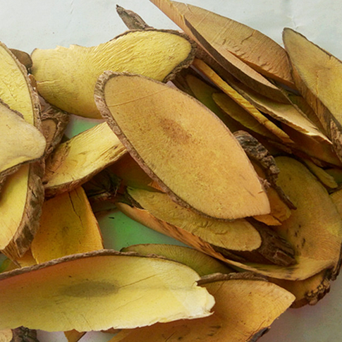 土黄连 6斤免邮 黄藤 十大功劳根 功劳木中药材初级农产品500g克