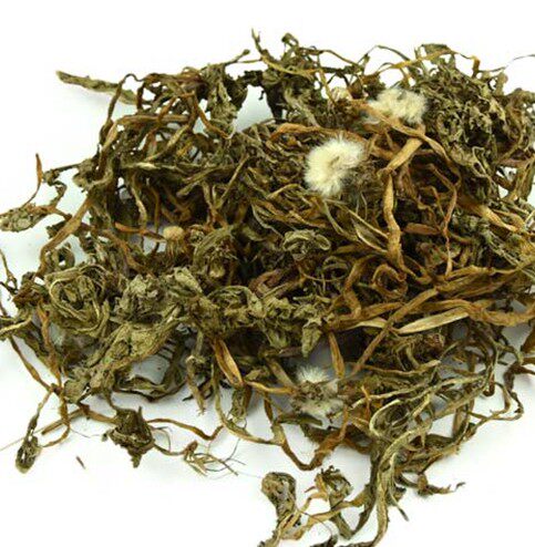 蒲公英3斤包邮蒲公英茶干蒲公英婆婆丁蒲公草中药材500g克