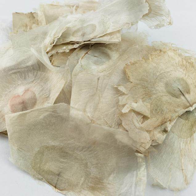 千张2斤包邮玉蝴蝶蝴蝶千层500g中药材其他药食同源食品