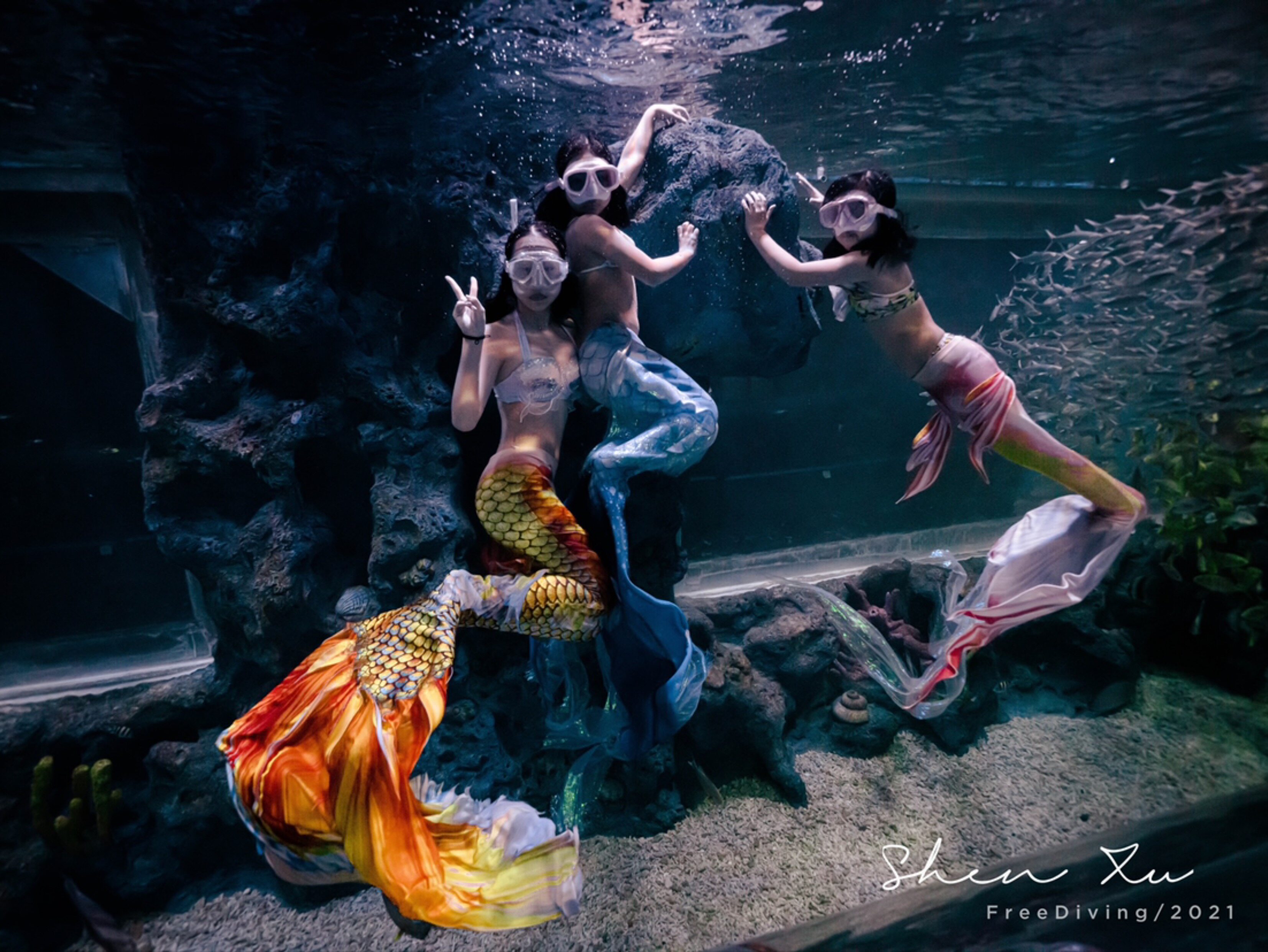 aida自由潜水课程儿童青少年ssi美人鱼摄影体验面镜