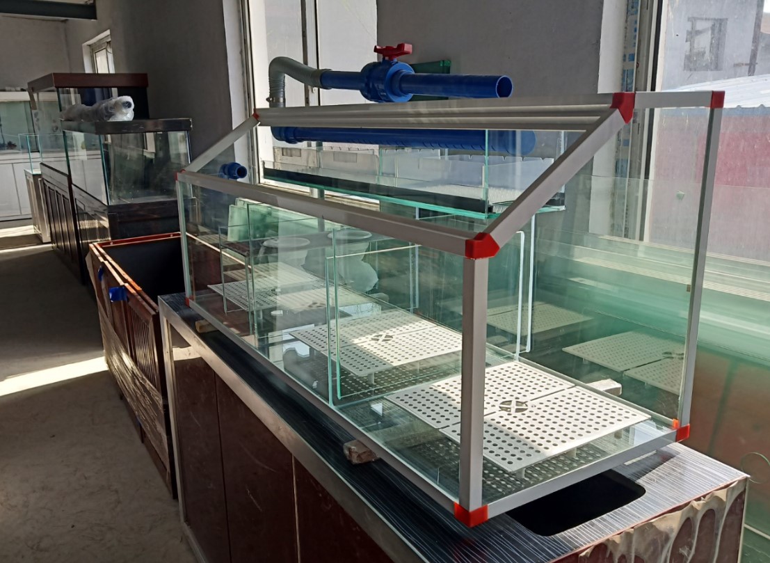 过滤金鱼底滤鱼缸槽下锦鲤龙缸专用干湿分离桌面缸