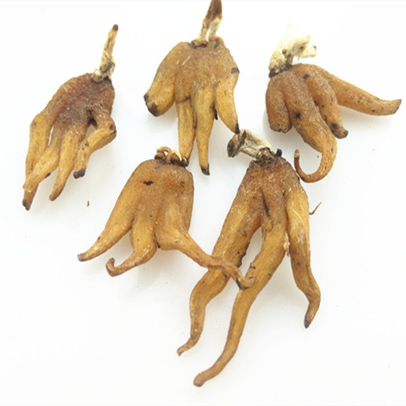 西藏特产精选西藏野生手掌参佛手参煲汤养生泡酒料250克188元包邮