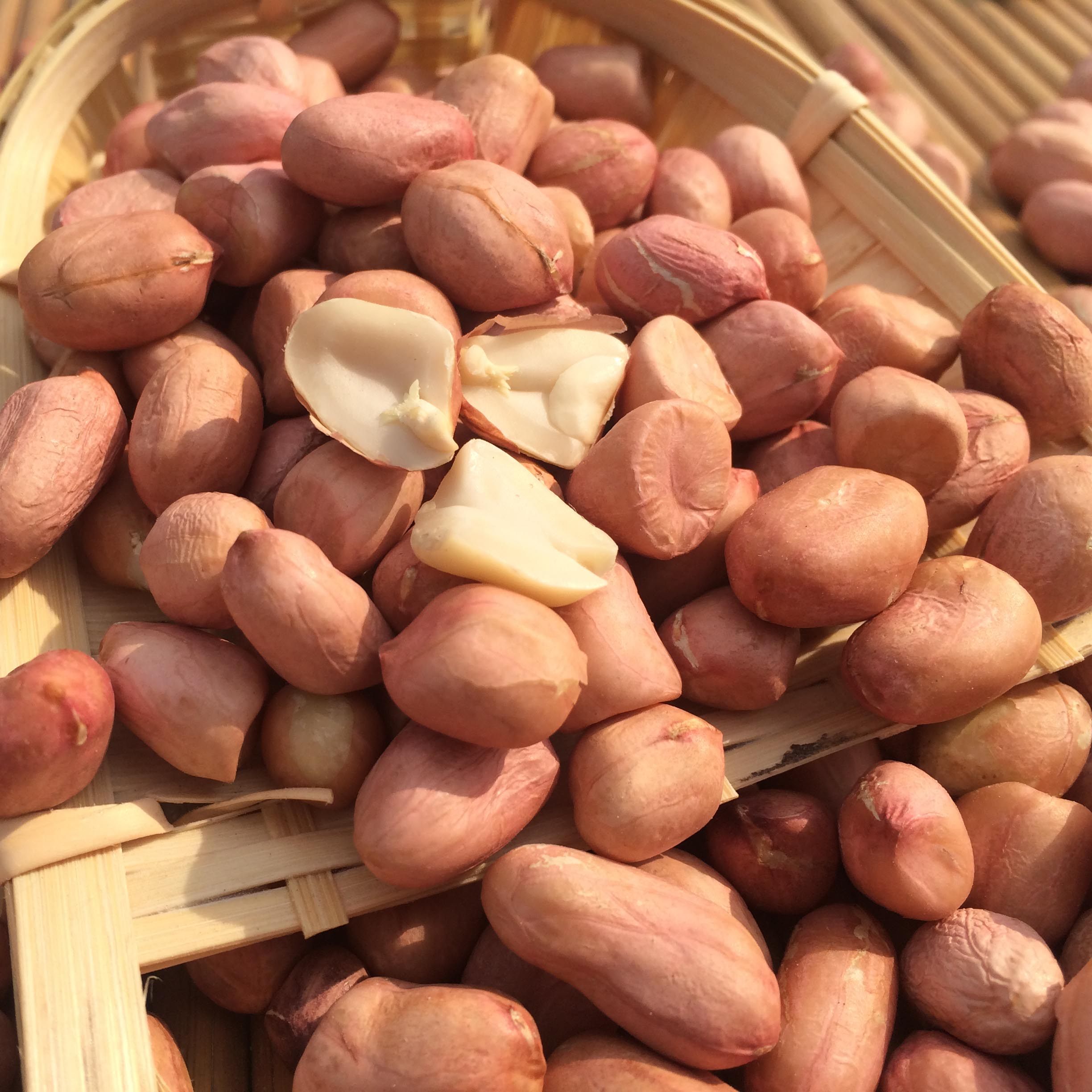 花生米2019新花农家白皮自种去皮花生米仁500g其它粮食