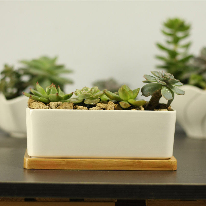 欧式简约白色创意长方形zakka盆栽多肉白瓷花盆花盆