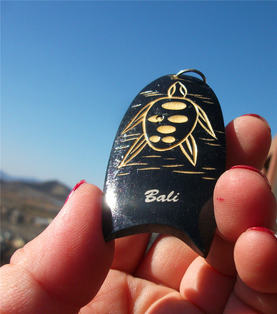 印度尼西亚当地购买钥匙扣巴厘bali木质海龟6件包邮其他国家特色