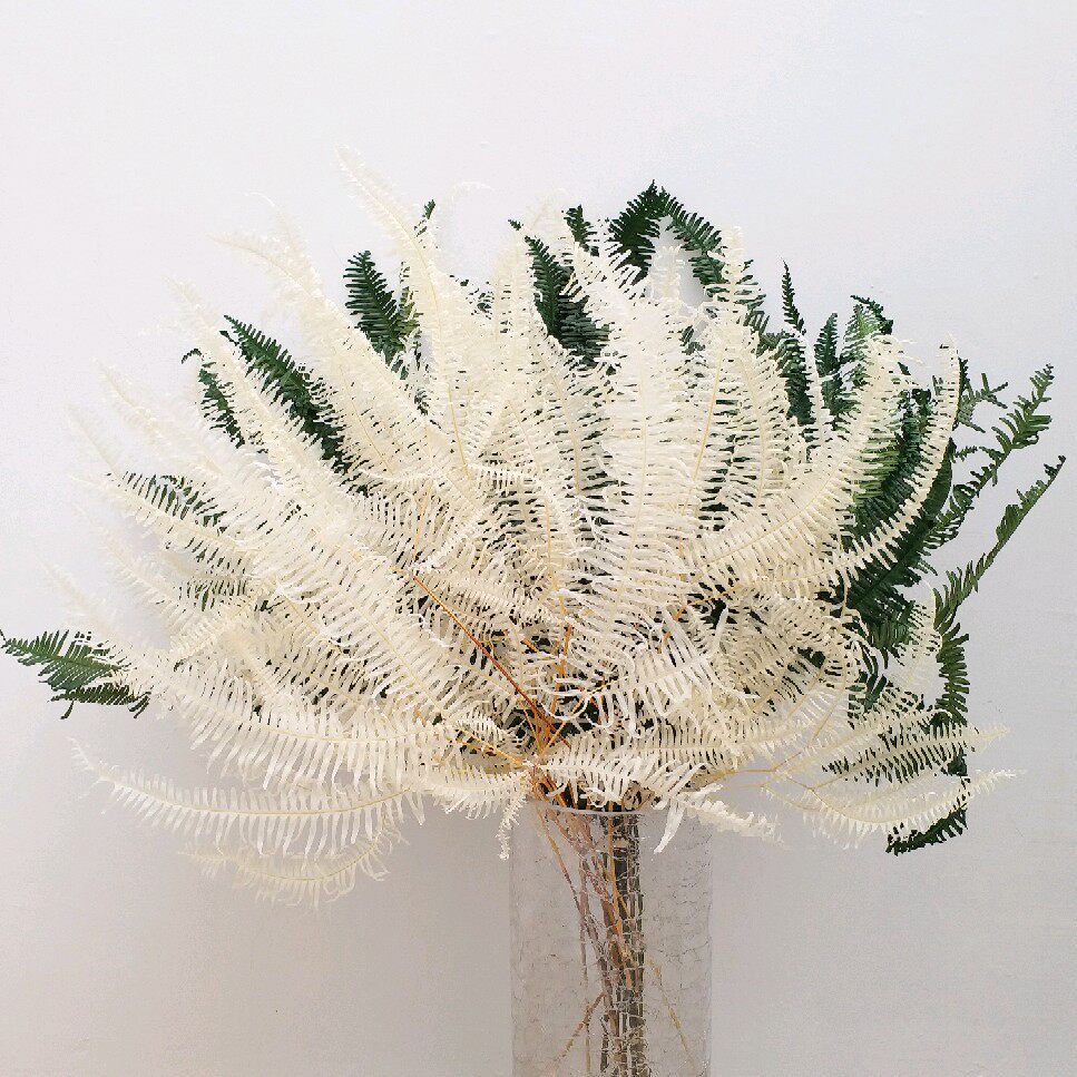 永生花北欧拍摄陈列橱窗插花咖啡店家居装饰叶芒萁永生花