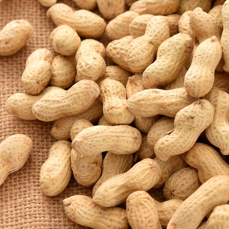 核桃味小花生带壳五香花生米熟蒜香水水煮多味生花生