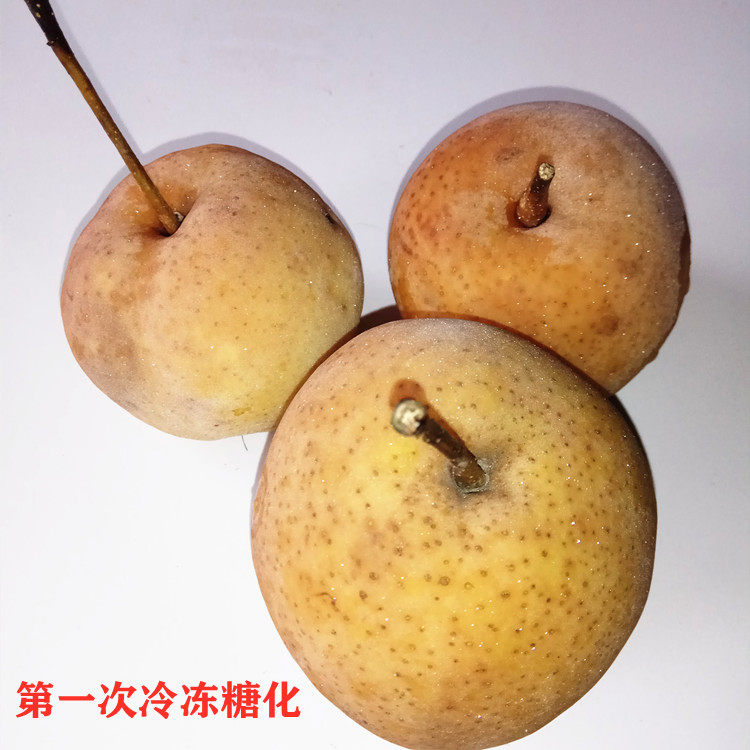 甘肃农产品兰州黄软儿diy冻梨香梨新鲜水果梨冬梨