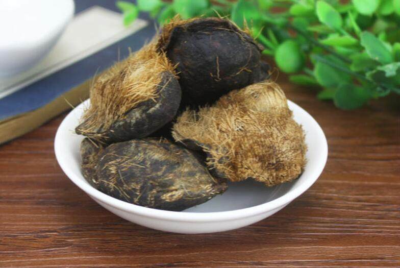 正宗 西藏麝香整个毛囊纯正麝香仁实拍包质检 药用钓鱼1克包邮