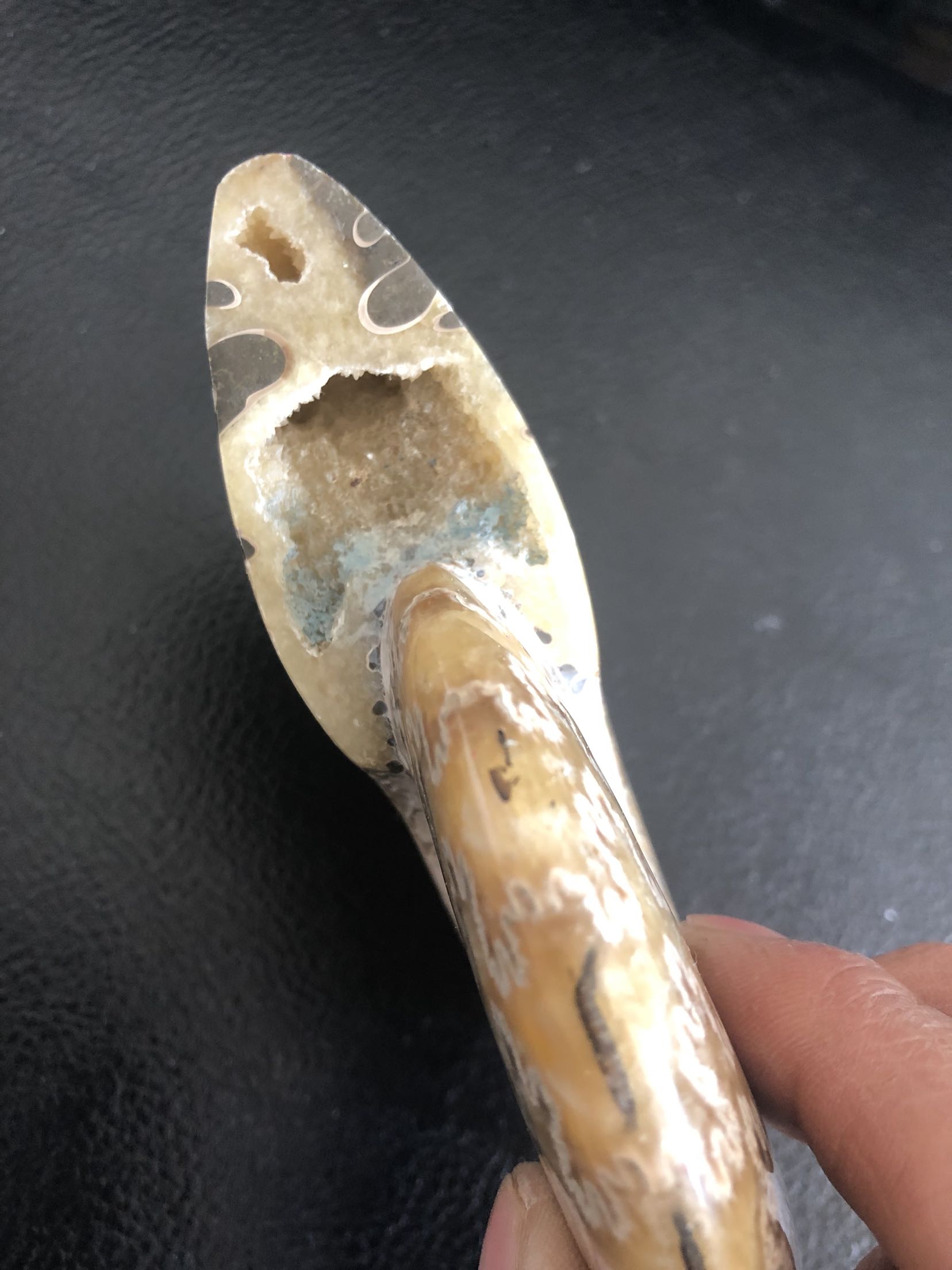 古生物化石玉化摆件完整清晰花纹菊石发财15cm摆件