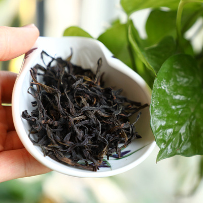 力荐茶汤柔美悠长乌岽柿香老枞单枞茶珍稀春茶500g凤凰单丛