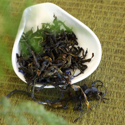 稀有品种首次高香雪片南姜潮州单枞茶250g凤凰单丛