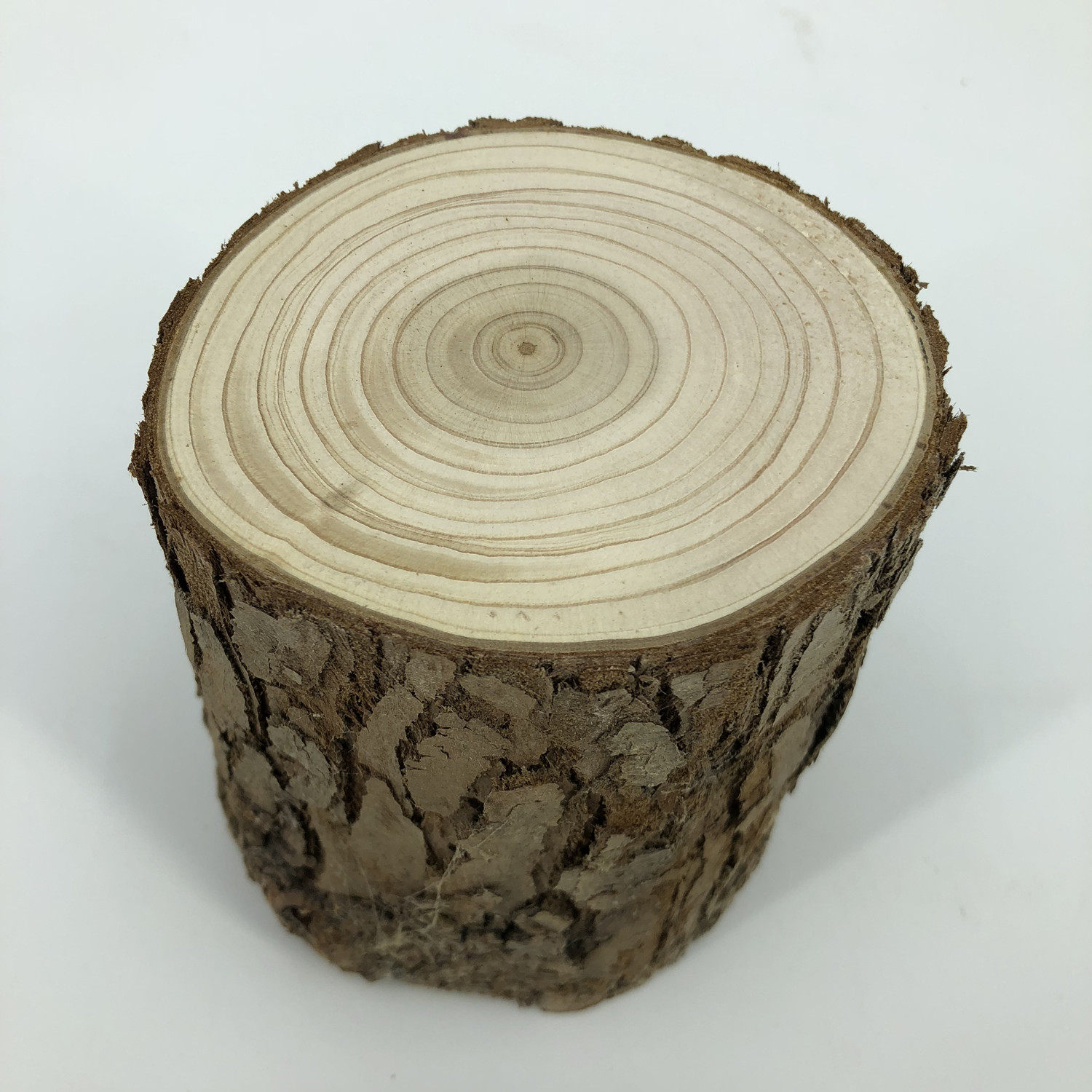 包邮小木桩底座摆件树桩原木木头杉树摄影拍照摆件