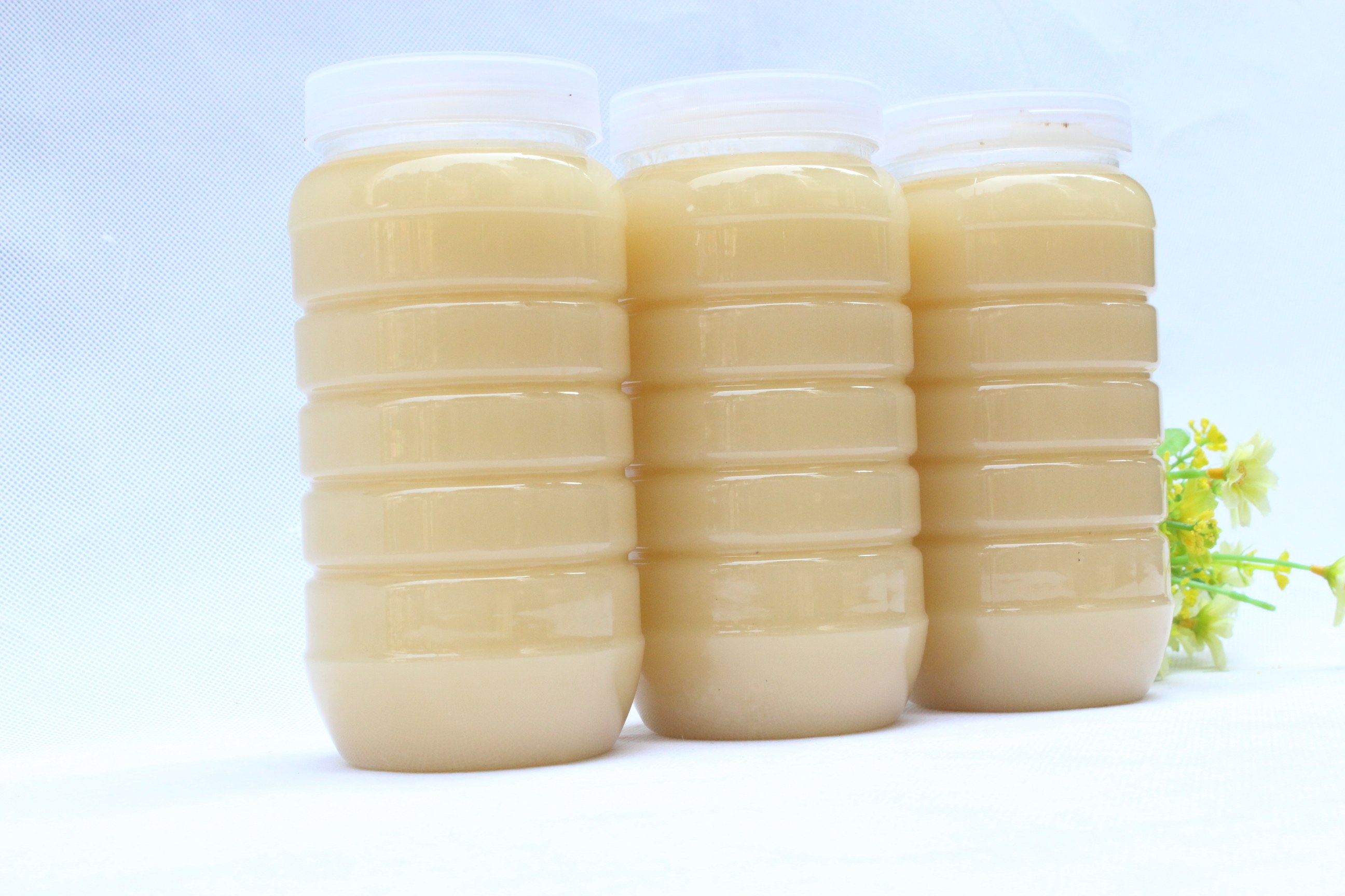 漳州南靖老爸自养蜂蜜新鸭鸭脚木结晶冬蜜鹅掌蜂蜜