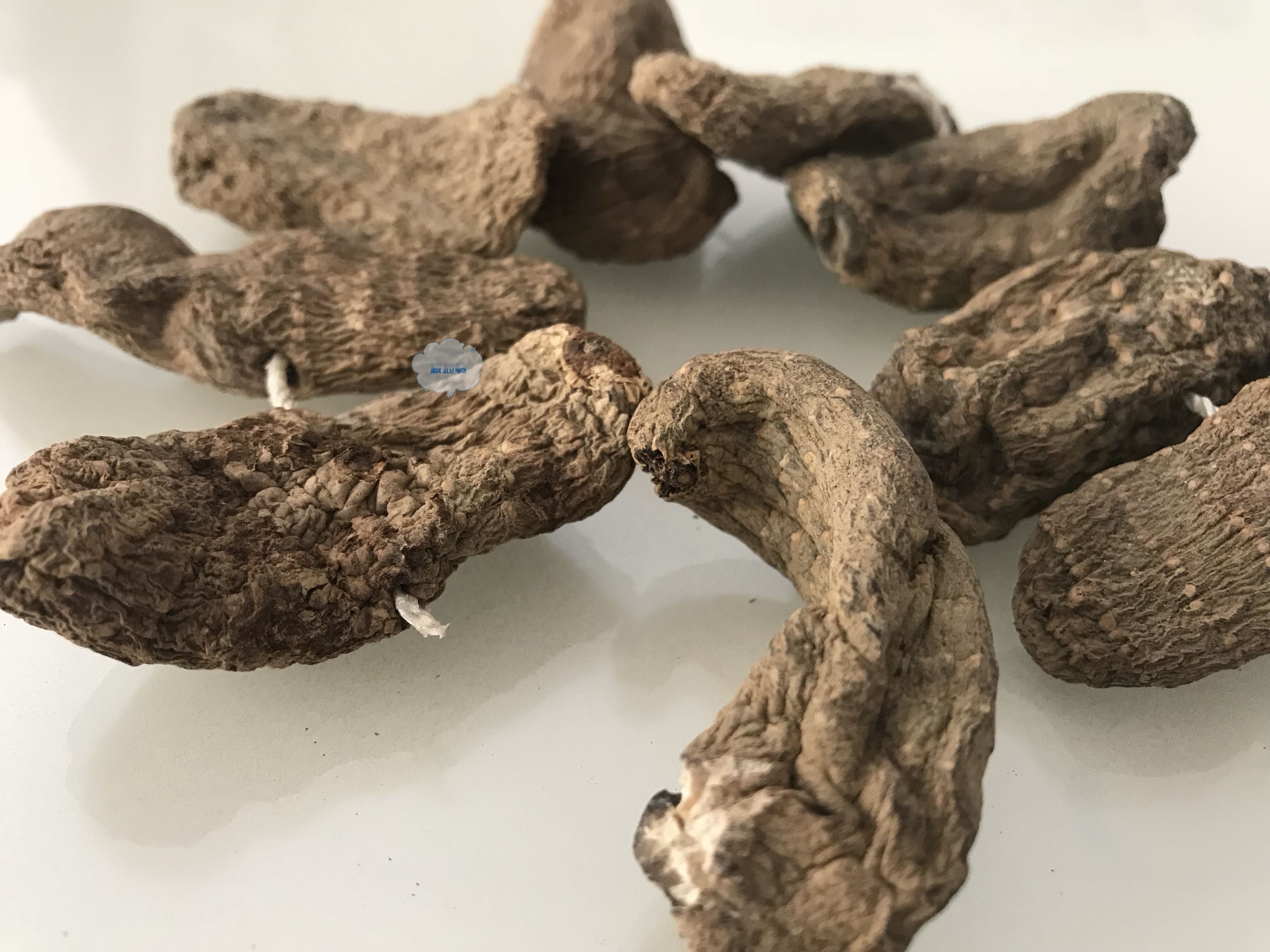 250克顺丰包邮 西藏林芝野生天麻 冬天麻 煲汤泡水