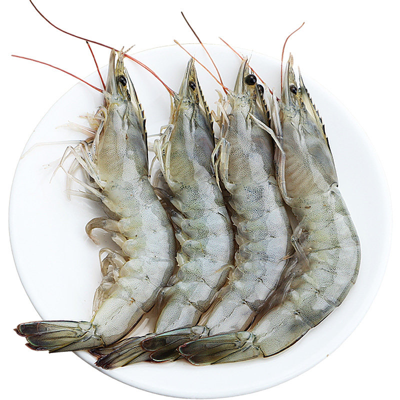 平潭海鲜海捕大虾35斤海鲜水产鲜活白虾活虾冷冻新鲜海虾