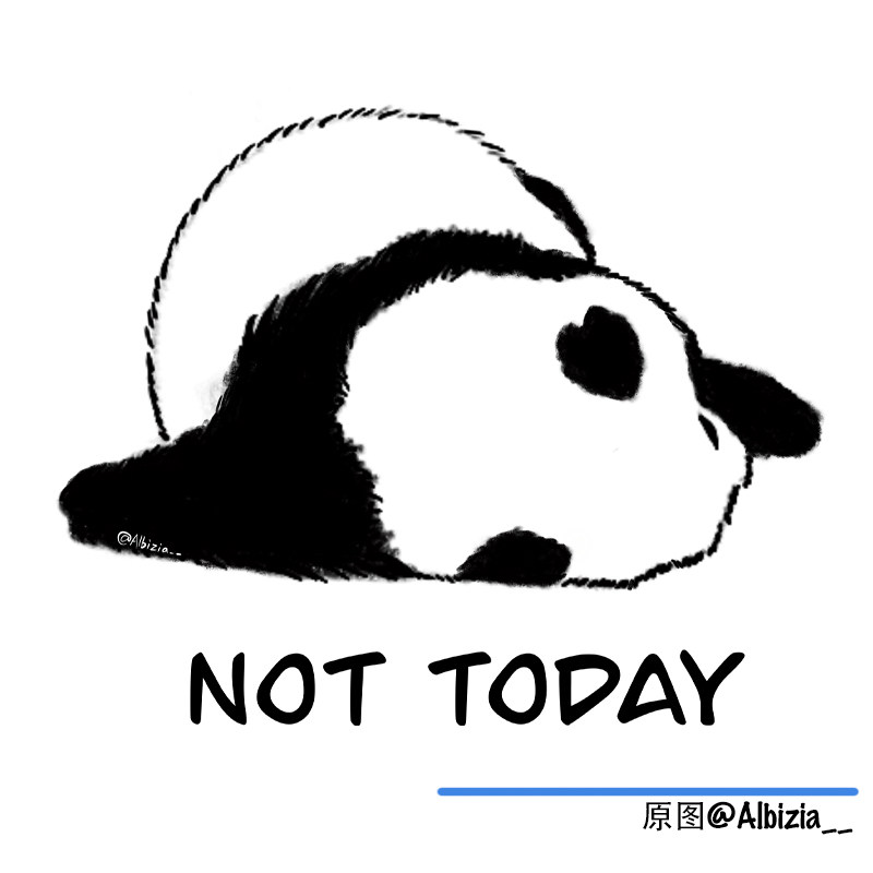 熊猫nottoday原创插画周边文化衫恶搞标语男女t恤