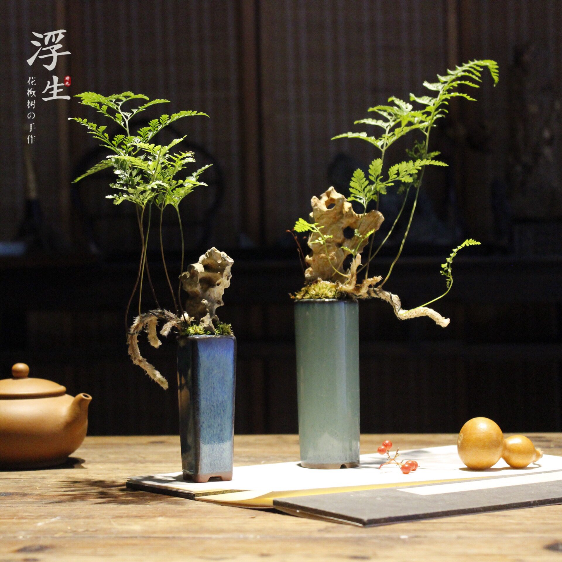 浮生时光景观苔藓植物盆景桌面山水摆件茶室创意迷你植物