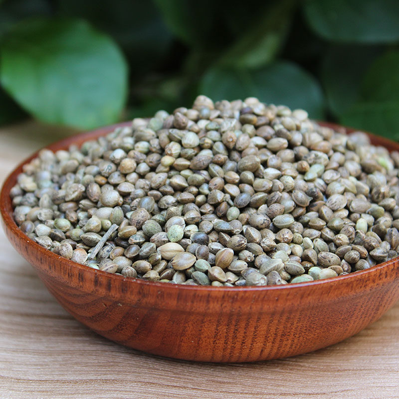 2件包邮巴马特产火麻子带壳火麻籽火麻仁500g可做火麻汤火麻油