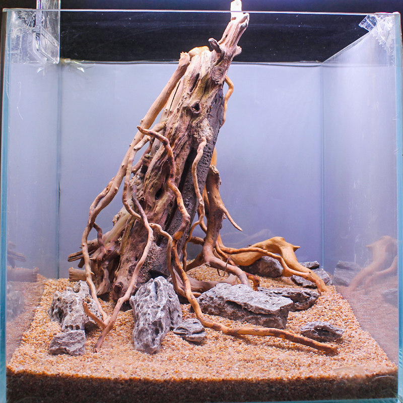 鱼缸沉木造景生命之树布景套餐装饰树根树桩杜鹃造景