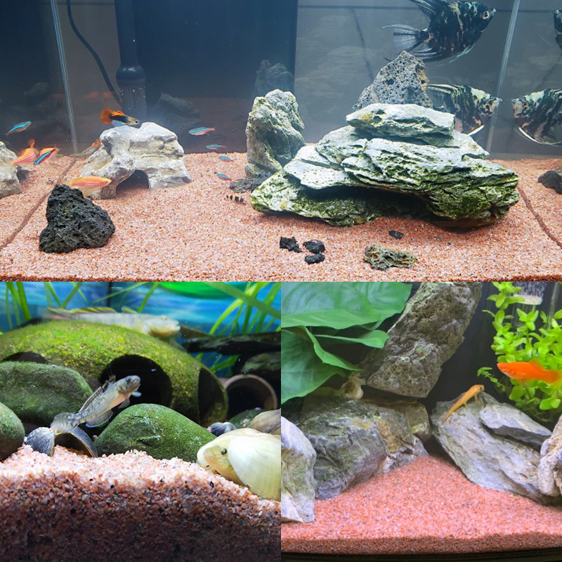 热带雨林沙底南美红沙原生鼠鱼雷龙异形底层沙子造景