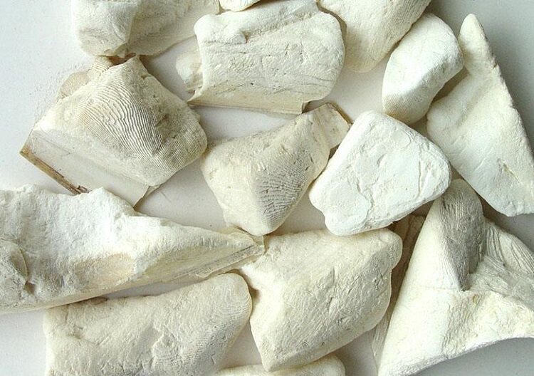 正品中药材海螵蛸海螵蛸粉墨鱼骨海螵蛸乌贼骨粉500g