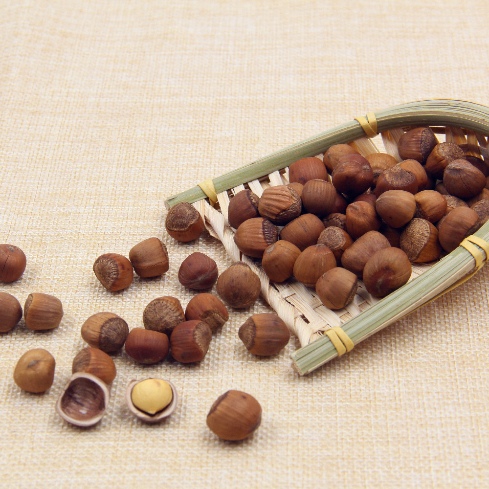 榛子2袋东北铁岭水漏特产坚果新货原味野生榛子