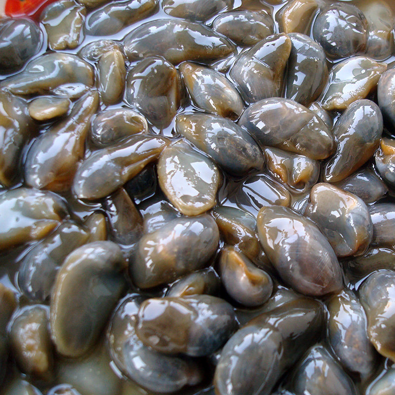 宁波特产海鲜咸泥螺500g宁海野生无沙咸泥螺黄泥螺新鲜腌制大泥螺