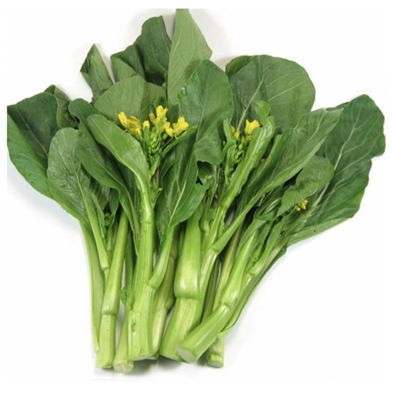 广良甜菜心种子 广东菜心种子 大面积种植蔬菜种子 菜薹种子