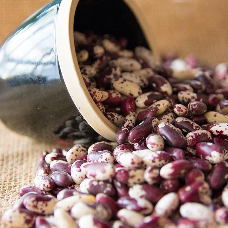 芸豆 1斤 东北佳木斯农家自产红芸豆花皮饭豆大粒花腰豆紫花芸豆