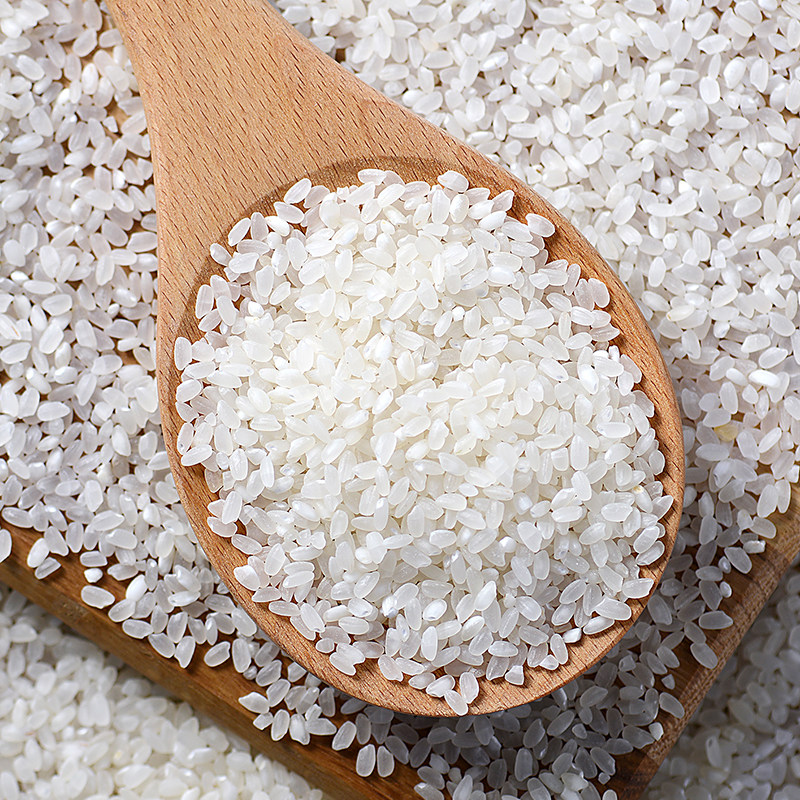 石板大米镜泊湖响水新米东北黑龙江农家家米500g大米