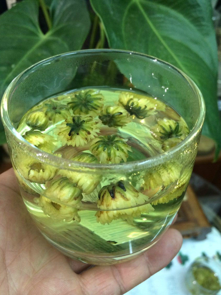 茶菊新花特级杭白菊产地地直50g铁罐花茶桐乡代用