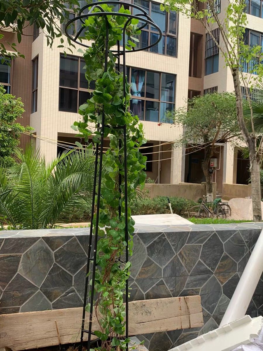 花架伞形家庭园艺铁艺铁架户外爬藤藤架室外花架